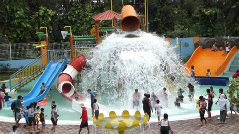 Pada jaman dahulu kala telah digunakan sebagai ornamen dan dekorasi di taman karena bunganya yang berwarna cerah. Liburan Gitu-Gitu Aja? 10 Tempat Wisata Puncak ini Bikin ...