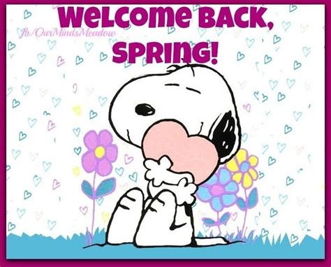 Welcome Back Spring Pictures, Photos, and Images for Facebook, Tumblr