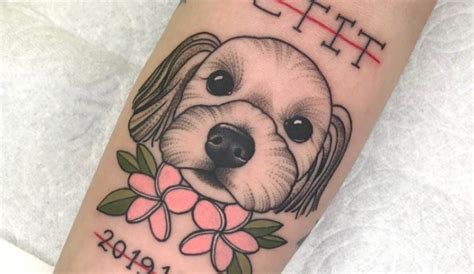 10 Best Maltese Dog Tattoo Ideas Pet Reader