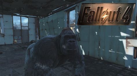 If you enjoyed the video don't forget to leave a like!this is just a quick tutorial on how to capture and tame creatures in fallout 4's dlc wasteland. FALLOUT 4: How To Acquire SYNTH Gorillas - BEST Settlement Creature! (Wasteland Workshop Secret ...