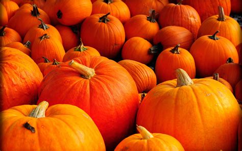 Fall Wallpapers With Pumpkins 57 Images