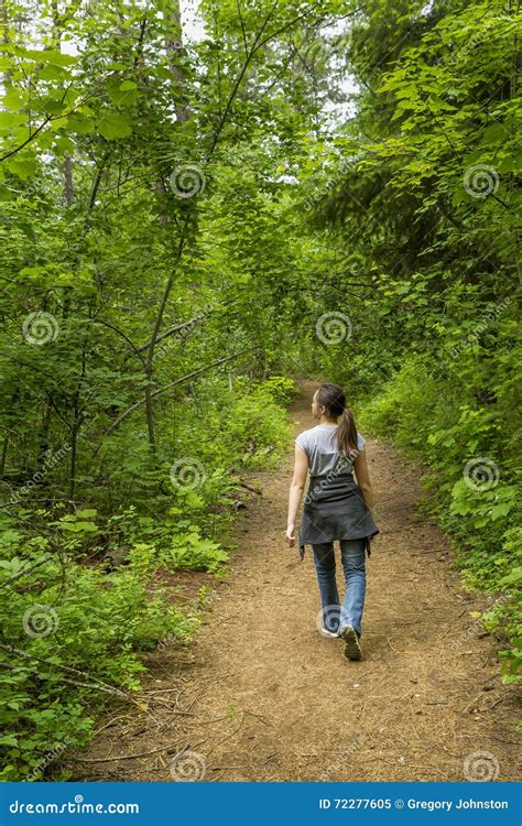 Girls Takes A Stroll In The Woods Stock Image Image Of Exercise