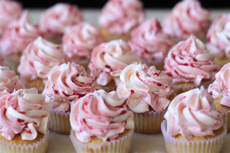 Raspberry And Vanilla Mini Cupcakes Desserts Food