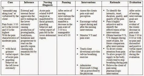 Acute Pain Nursing Care Plan Nursing Care Plan Examples