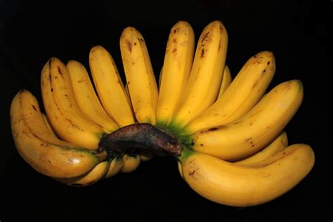 Banana 3 Free Stock Photo Public Domain Pictures