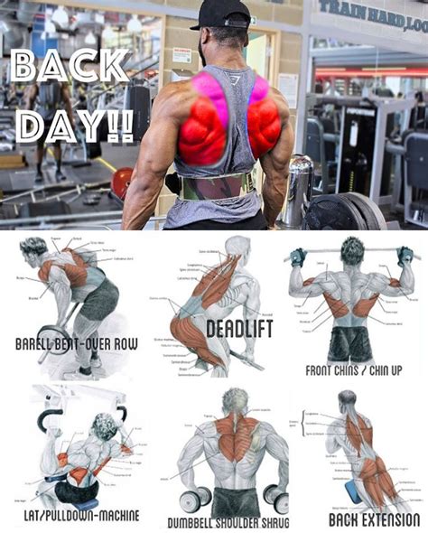 How To Train The Lats Best Workout Routine Workout Routine For Men Fun Workouts