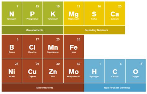 The Periodic Table And Plant Nutrition Pioneers Fertilizer