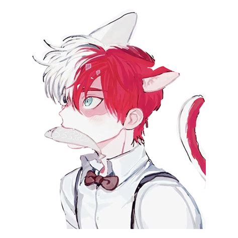 Anime Cat Boy
