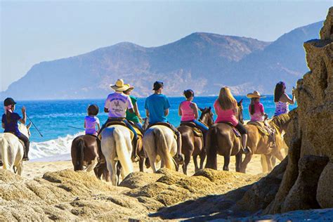 Cabo San Lucas Attractions And Activities Attraction Reviews By 10best