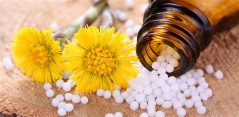¿qué Es La Homeopatía