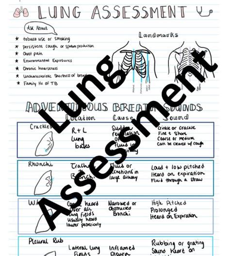 Lung Assessment Study Guide Etsy