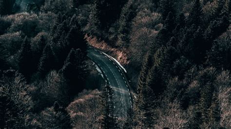 Download Wallpaper 2048x1152 Road Forest Trees Aerial View Ultrawide