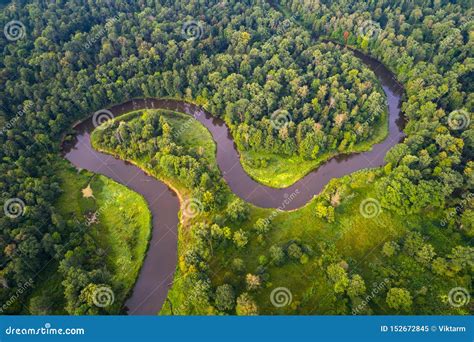 Forest River Stock Image Image Of Biosphere Water 152672845