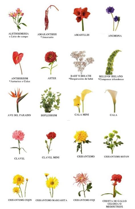 Por eso no te pierdas estos hermosos arreglos florales tropicales que te mostraremos a continuación. Imágenes de nombres de flores | Imágenes