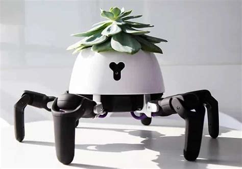 Un Robot Araignée Pour Bien Soccuper De Ses Plantes Tuxboard