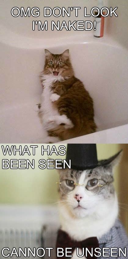 Naked Cat Meme Slapcaption Cat Memes Pinterest Meme Cat