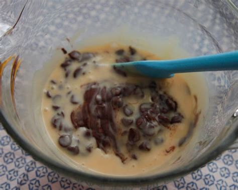 Recipes Using Chocolate Chips And Sweetened Condensed Milk Besto Blog