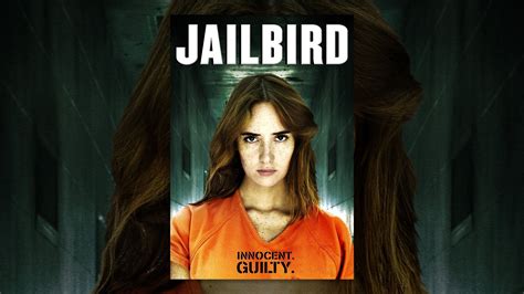 Jailbird Youtube