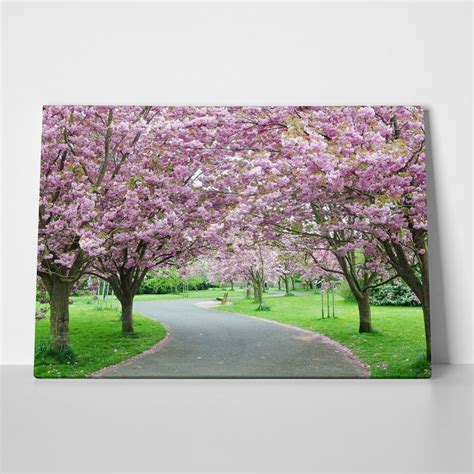Πίνακας Cherry Blossom Path Sticky
