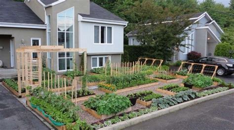 Best Plants to have in Your Kitchen Garden | Front yard garden, Front garden, Urban garden