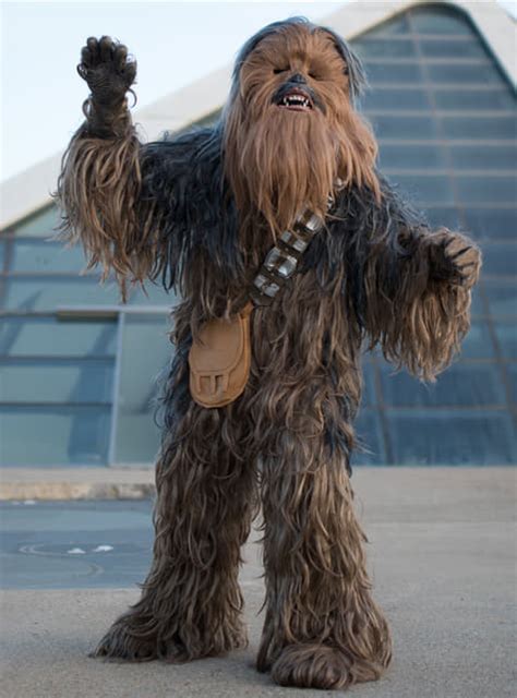 Chewbacca Disfraz Ubicaciondepersonascdmxgobmx