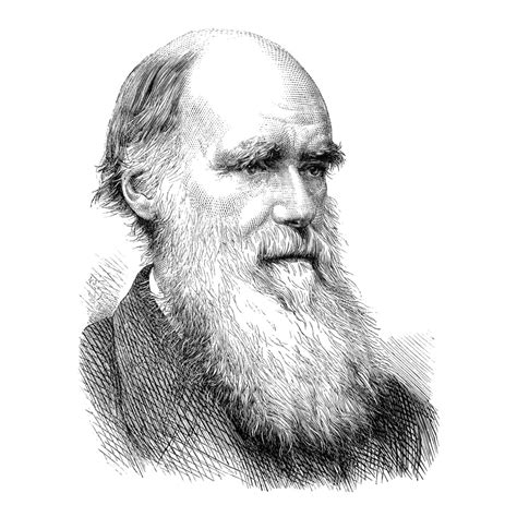 Charles Robert Darwin N1809 1882 English Naturalist Wood Engraving
