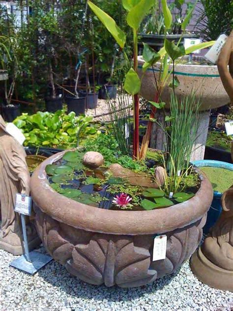 Bulbs will be sent september to april. 15 Charming DIY Mini Garden Pond Ideas
