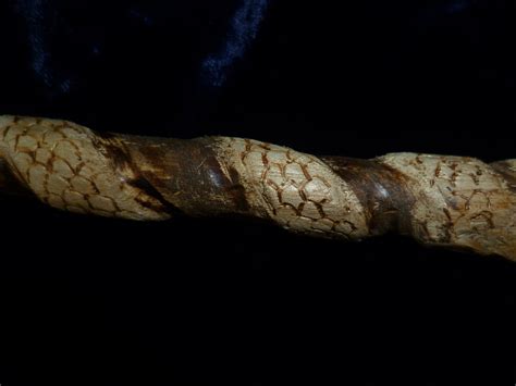 As salazar slytherin's wand was made of basilisk horn, it was possible that said horn came from that basilisk. Iceriel Wand Maker