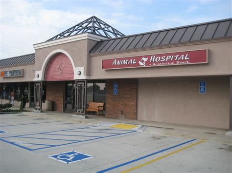 Animal Hospital Of Huntington Beach - Cat Boarding Aliso ...