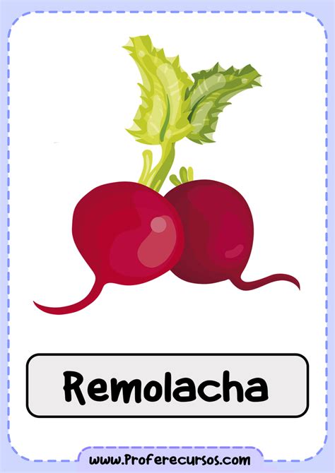 Vocabulario Verduras Vegetales Remolacha