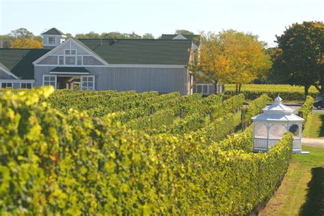 5 Best Long Island Wine Tour Companies Our Globetrotters