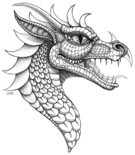 Drachen Vorlage Zum Zeichnen Dragon Head Drawing Easy Dragon Drawings