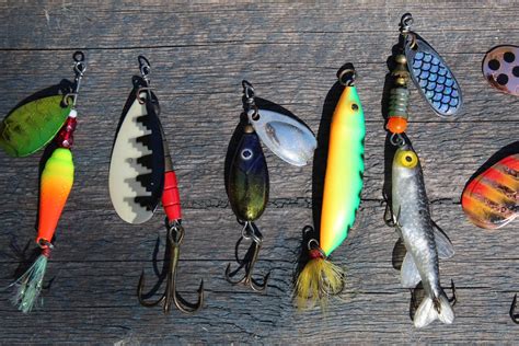 Best Musky Lures - Catch That Rare Monster Musky Of Your ...