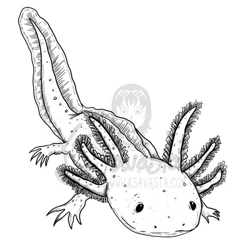 Printable Axolotl Coloring Pages