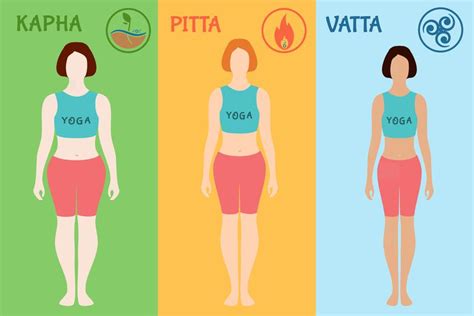 Three Types Of Dosha Metabolic Types In Ayurveda