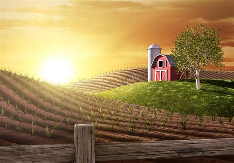 Morning On The Farm Stock Photo Image Of Agriculture 4243568