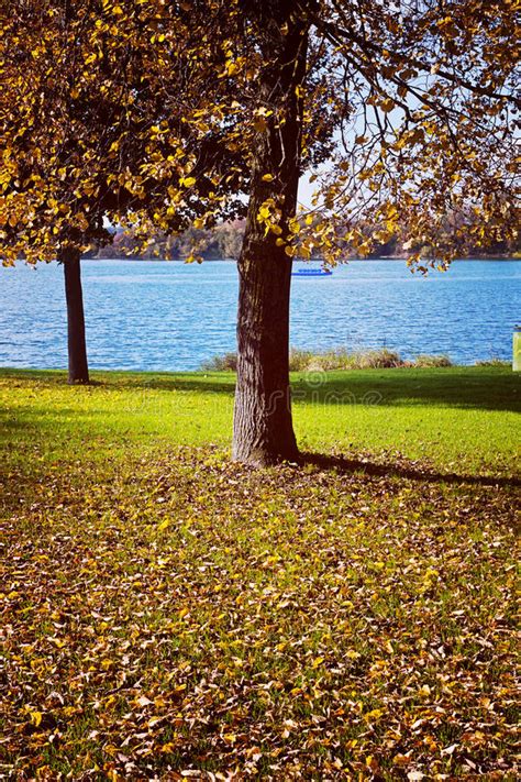 Bavaria Autumnal Colors Blue Lake And Golden Leaves Under Trees Stock