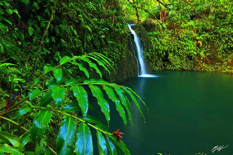 H049 Secret Waterfall Maui Hawaii Randall J Hodges Photography
