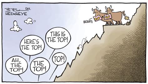 10 Cartoons Capture This Epic Bull Market