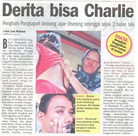 Ini yang terjadi dengan anda bila di gigit dgn semut charlie. Kesan Bahaya Gigitan Semut Charlie