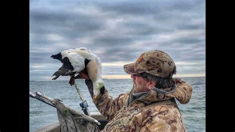 Sea Duck Hunting Eider On The East Coast Youtube