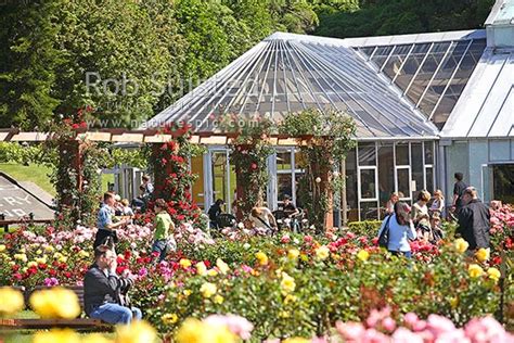 Garden planning apps which help you grow fruit and vegetables whatever the size,. Tourists enjoying flowers in the Lady Norwood Rose Garden ...