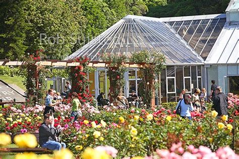 For more details visit www.aucklandbotanicgardens.co.nz. Tourists enjoying flowers in the Lady Norwood Rose Garden ...