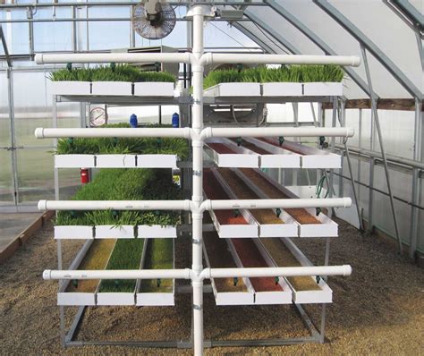 Expanded Mini Fodderpro 20 Feed System Fodder System Produces Up To