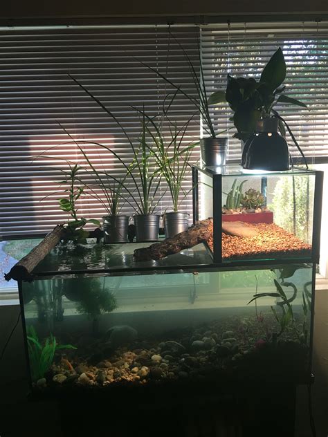 55 Gallon Tank For Turtle Din Aquarium Fish