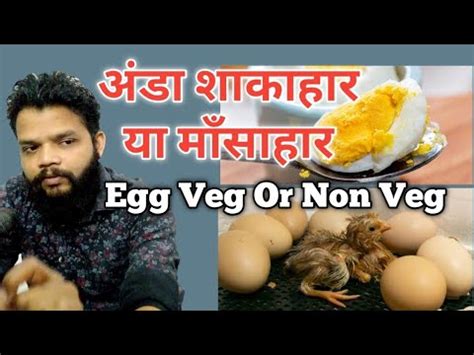 Egg Veg Or Non Veg Explain Youtube