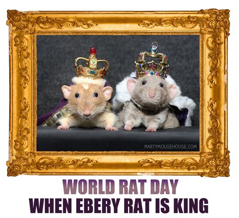 Happy World Rat Day 2020 Marty Mouse House
