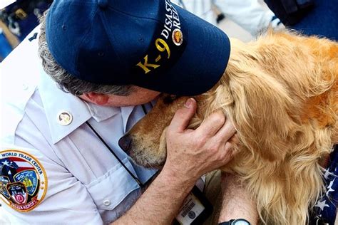After 911 Dog Therapy At Ground Zero Wsj