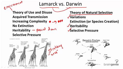 It is also called adaptation, where traits most likely to help an individual survive are labeled adaptive. 12.2.1 Darwin v. Lamarck - YouTube