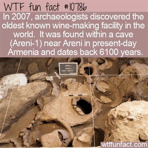 Wtf Fun Fact Oldest Known Winery